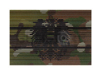Dual IR Patch Austria