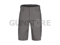 T.O.R.D. Flex Short AR 2