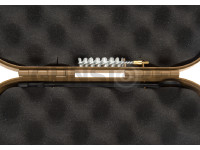 Pistol Case 2