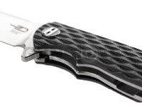Grampus G10 Linerlock Folder 4